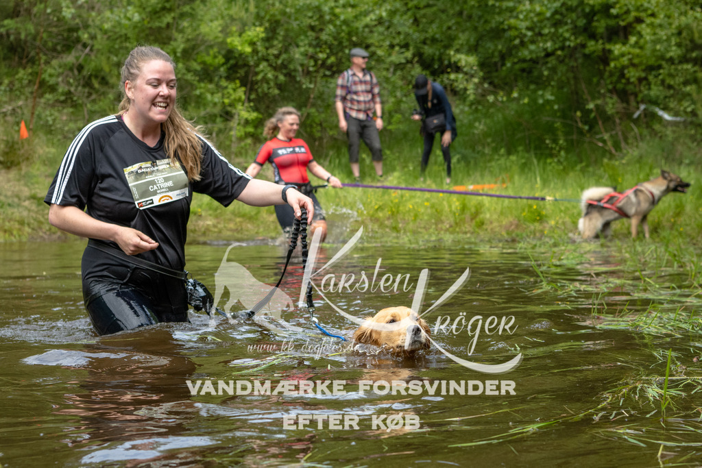 1114DKK994461 | kk-dogfotos