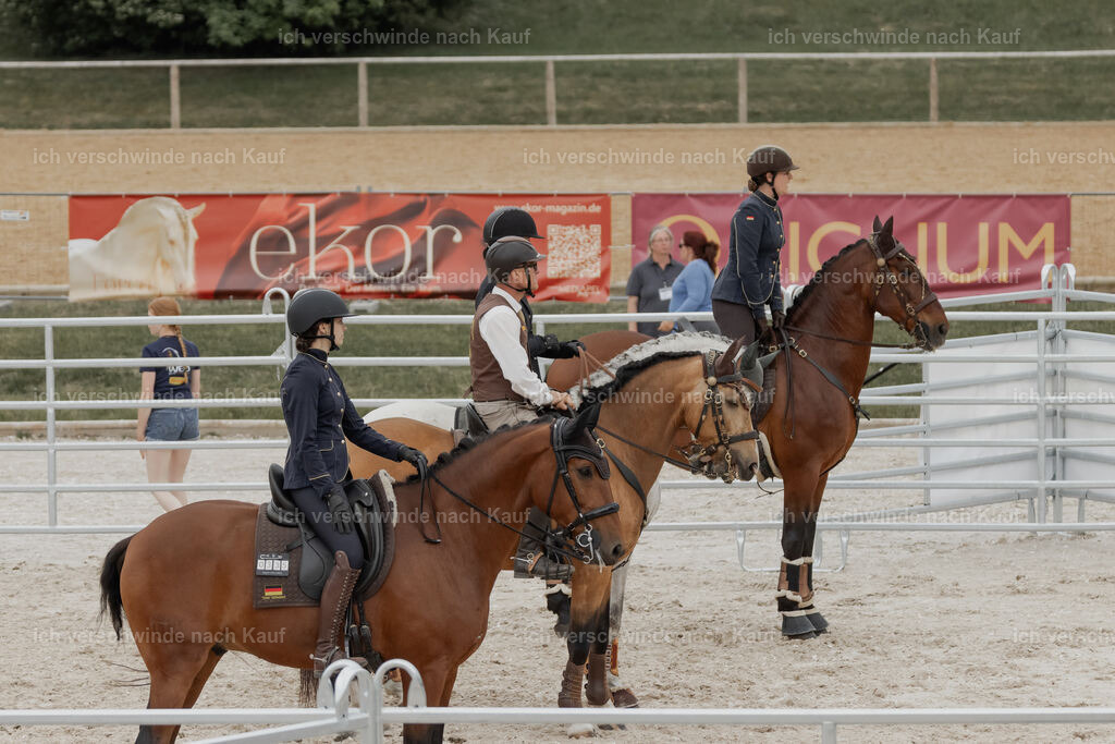 WE__Stoib_Rinder_PI2025_3029 | Pferd International München 2025