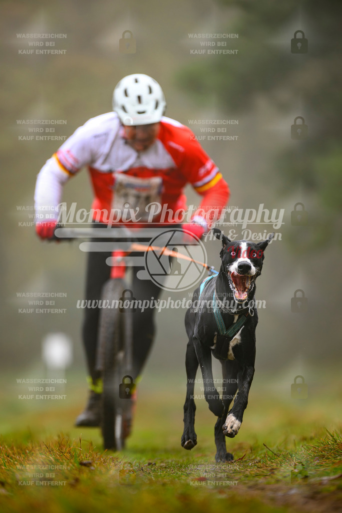 MompixPhotography_Bischwiller2025_Scooter-27 | mompixphotography