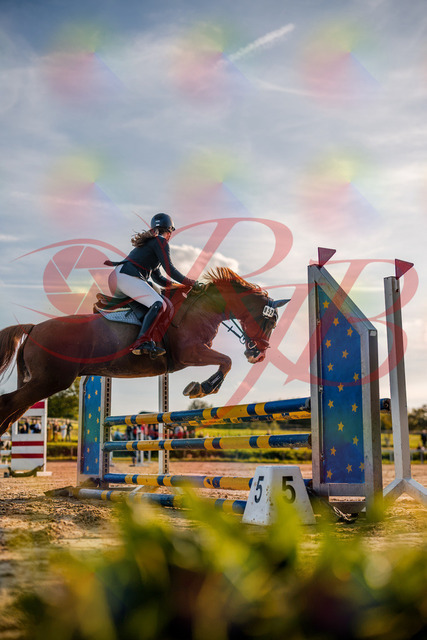 2026_10_03_Siefer-Hof_171145_Z63_21184373 | Professionelle Reitsport-, Turnier- und Eventfotografie von Robert Broda. Galerien mit ausgewählten und bearbeiteten Bildern direkt online ansehen und bestellen.