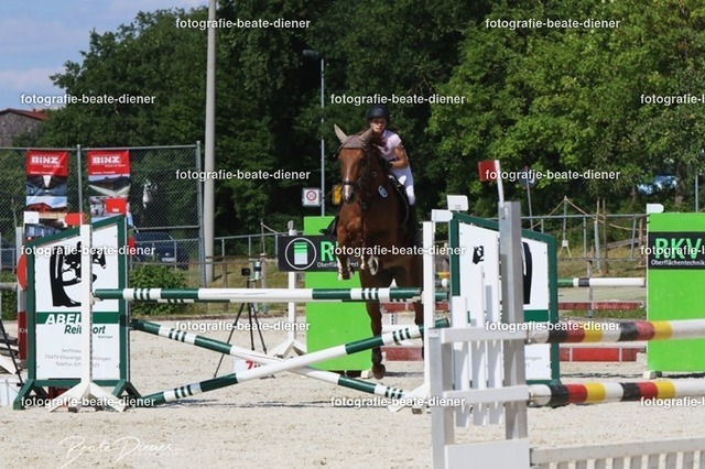 Zeit L (43) | Fotografie, Tiere, Hunde, Katzen, Pferde, Sportfotografie, Fotosession, Tierfotografie, Turnierfotografie, Fotografin, Fotograf - Realisiert mit Pictrs.com