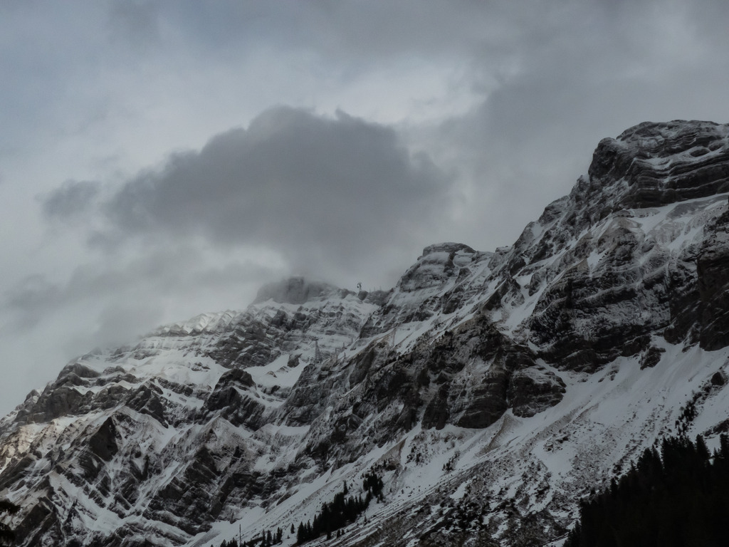 PSX_20230402_000631 | mtkfoto_ - Realisiert mit Pictrs.com