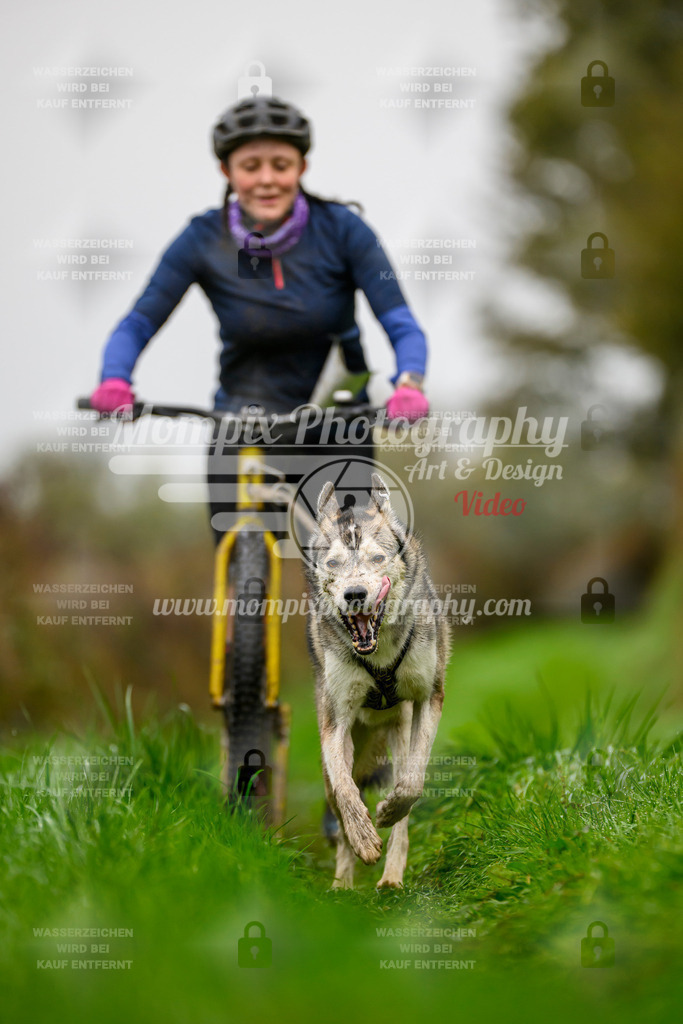MompixPhotography_20TSB_E8_DS1-50 | PayLife