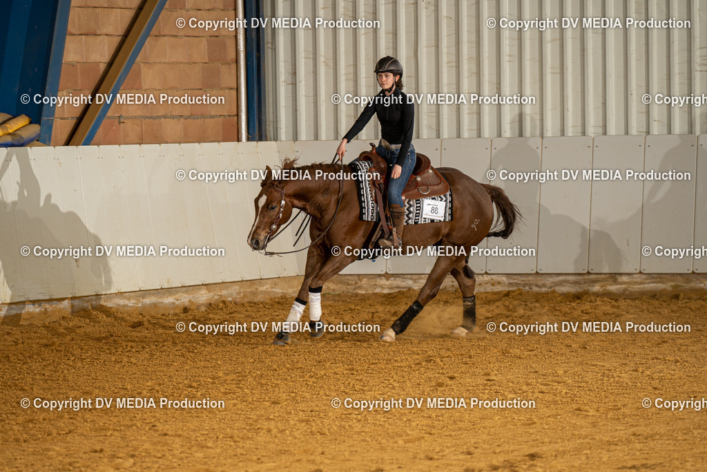 MIT00230 | dv-media-shop - Realisiert mit Pictrs.com