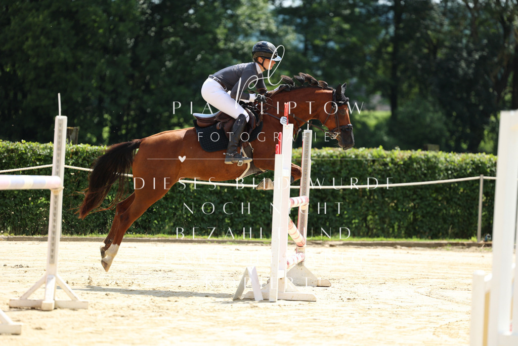 IMGM2422 | pl-fotografie