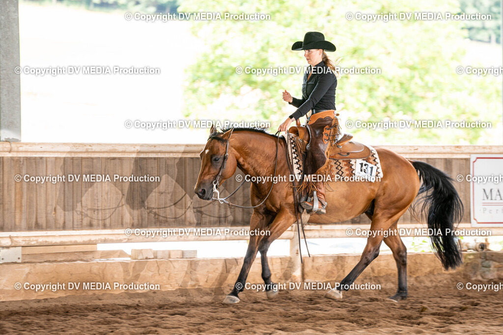 Erbach Tag 1-722 | dv-media-shop - Realisiert mit Pictrs.com