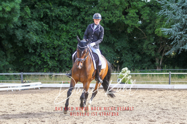 DKP45586 | Turniersportfotografie; Pferdefotografie; Dressurfotografie