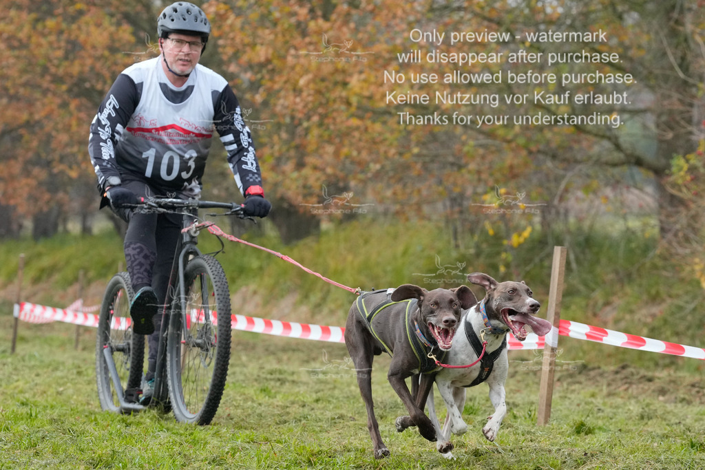 AusschnitteSa-184 | stephaniefillaphotographie - Realisiert mit Pictrs.com