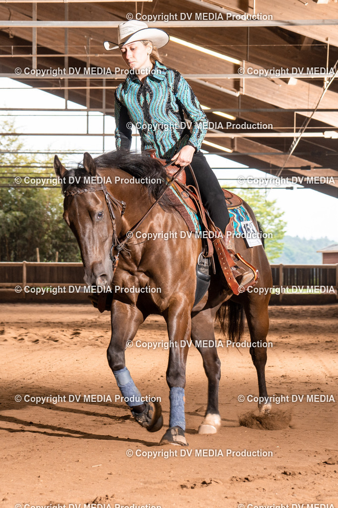 Erbach Tag 2-696 | dv-media-shop - Realisiert mit Pictrs.com