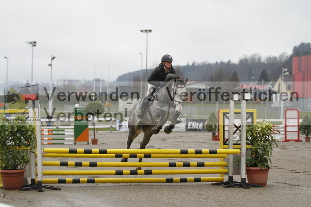 _MG_2024 | equestrian-live-com