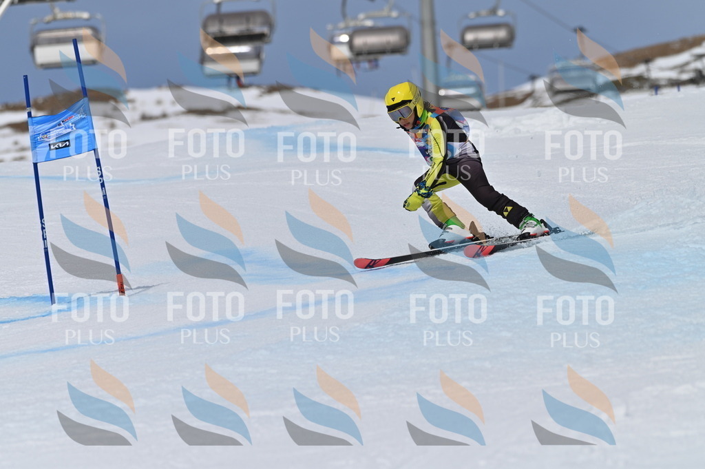 BGV_5960 | holidayphoto