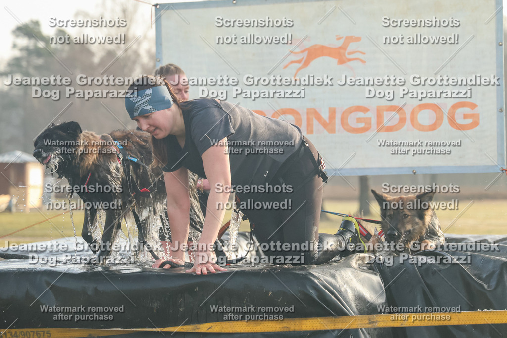 Dog Paparazzi - SD North 0326 Sa8-830-15 | Dog Paparazzi Jeanette Grottendiek Fotografie & Videografie - Realisiert mit Pictrs.com
