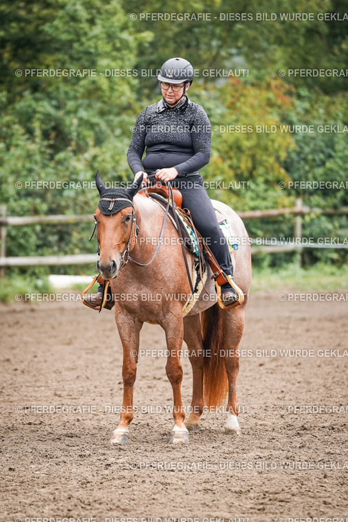 DSC01812 | Pferdegrafie