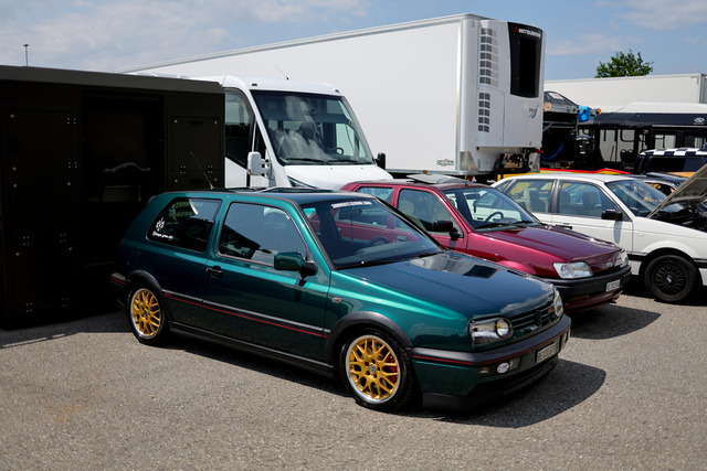 Calag_Oldtimer2025-29 | Ich fotografiere Hundeausstellungen, Sportanlässe, Zuchtstätten, Hundezucht, Hundeportrait, Lagotto - Realisiert mit Pictrs.com