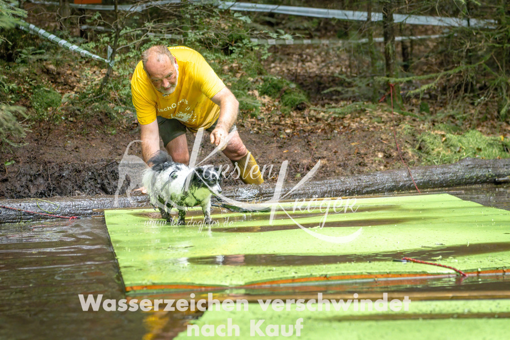 1522_ZZ90417-Bearbeitet | kk-dogfotos