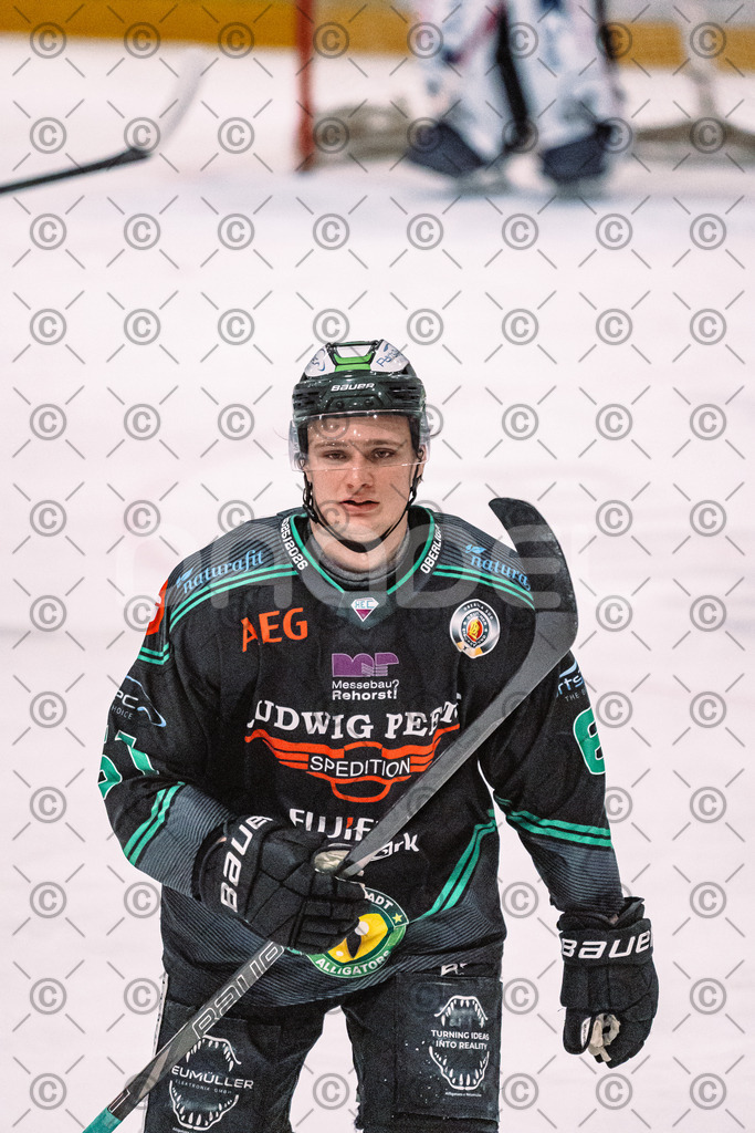 Alligators_vs_Heilbronn_08_02_2026-19 | Höchstadt Alligators Fotogalerie: Eishockey-Action aus Franken. Professionelle Spielfotos, Portraits & Stadionbilder zum Download. Jetzt entdecken! - Realisiert mit Pictrs.com