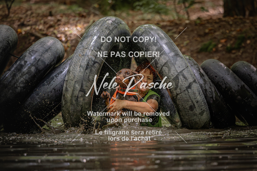 nelerasche_SaWingst1400-1500_277 | nelerasche