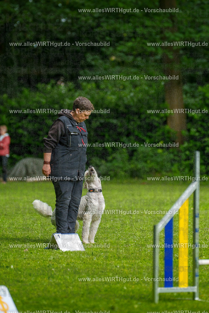 @allesWIRTHgut_Tierfotografie - www.allesWIRTHgut.de - 7R503549 | Professionelle Tierfotografie in Mönchengladbach von Daniel Wirth (allesWIRTHgut). Liebevolle & natürliche Bilder von Hunden & Katzen für unvergessliche Erinnerungen.
