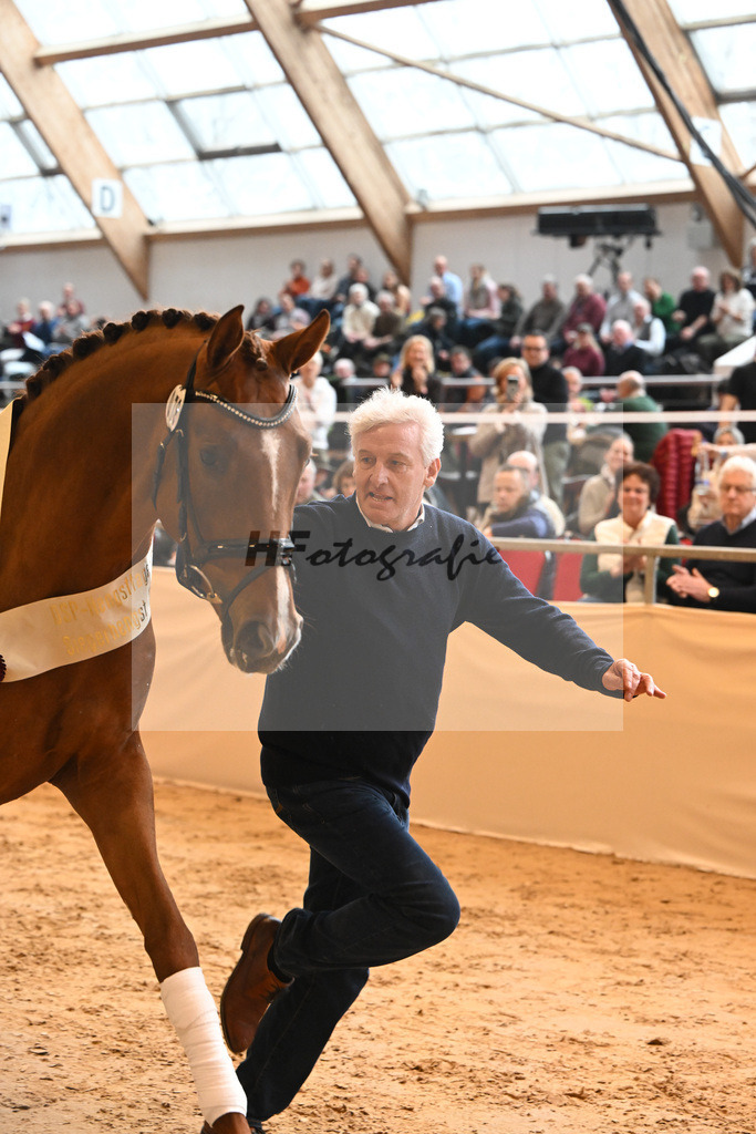 Kat-Nr. 78 Viva Gold_Casper u Eulich_1232375 | hf-fotografie - Realisiert mit Pictrs.com