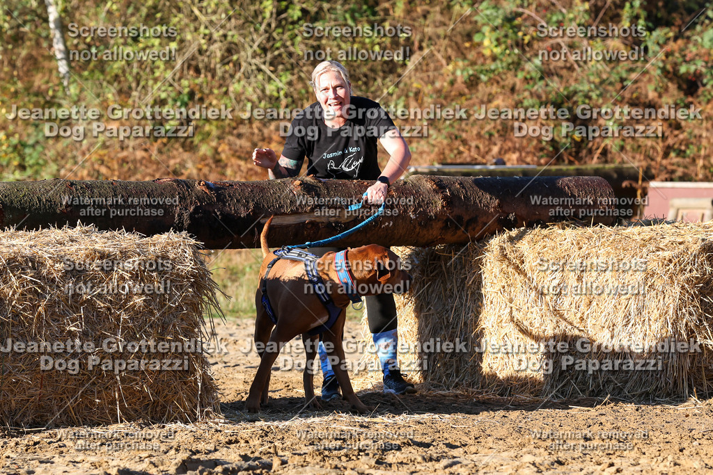Dog Paparazzi - Strongdog 10-25-1171 | Dog Paparazzi Jeanette Grottendiek Fotografie & Videografie - Realisiert mit Pictrs.com