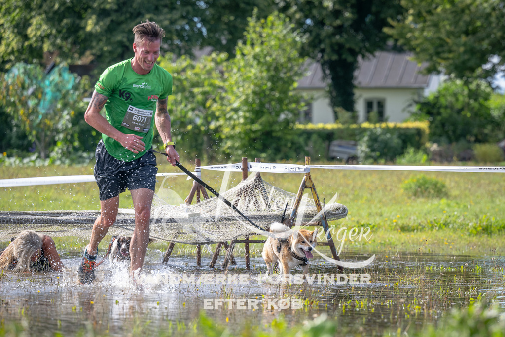 1128_ZZ92577 | kk-dogfotos