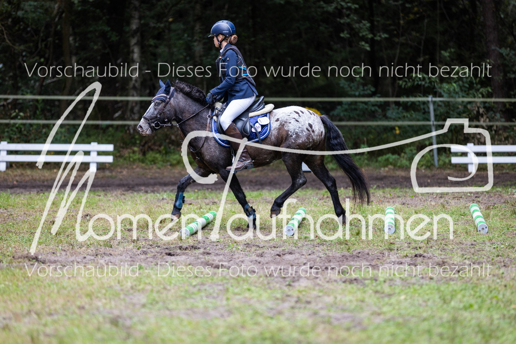 HB-Caprilli-024 | MomenTaufnahmen Pferdesportfotos