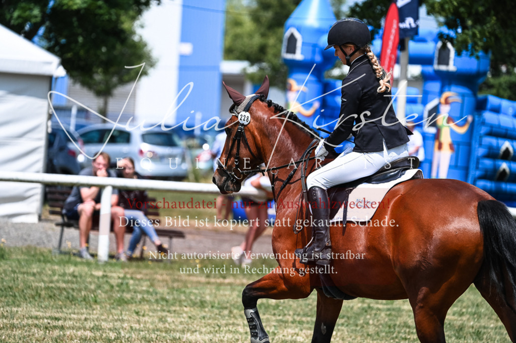 DSC_9578 | Pferde- und Turnierfotografie in Westsachsen. Pferdeportraits, Auftragszeichnungen und intuitive Kunst.