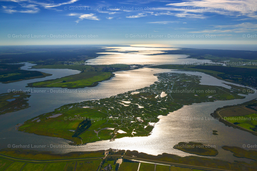 3638213 | Insel Große Kirr im Nationalpark Vorpommersche Boddenlandschaft ZINGST 25.08.2016 Salzgrasland- Insel und Vogelschutz- Gebiet in Zingst an der Ostseeküste im Bundesland Mecklenburg-Vorpommern, Deutschland.