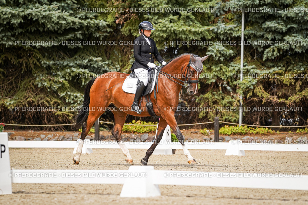 DSC05318 | Pferdegrafie