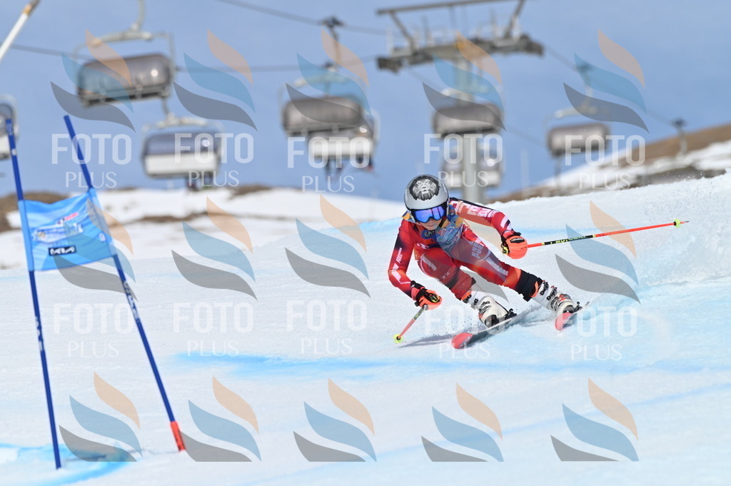 BGV_1442 | holidayphoto