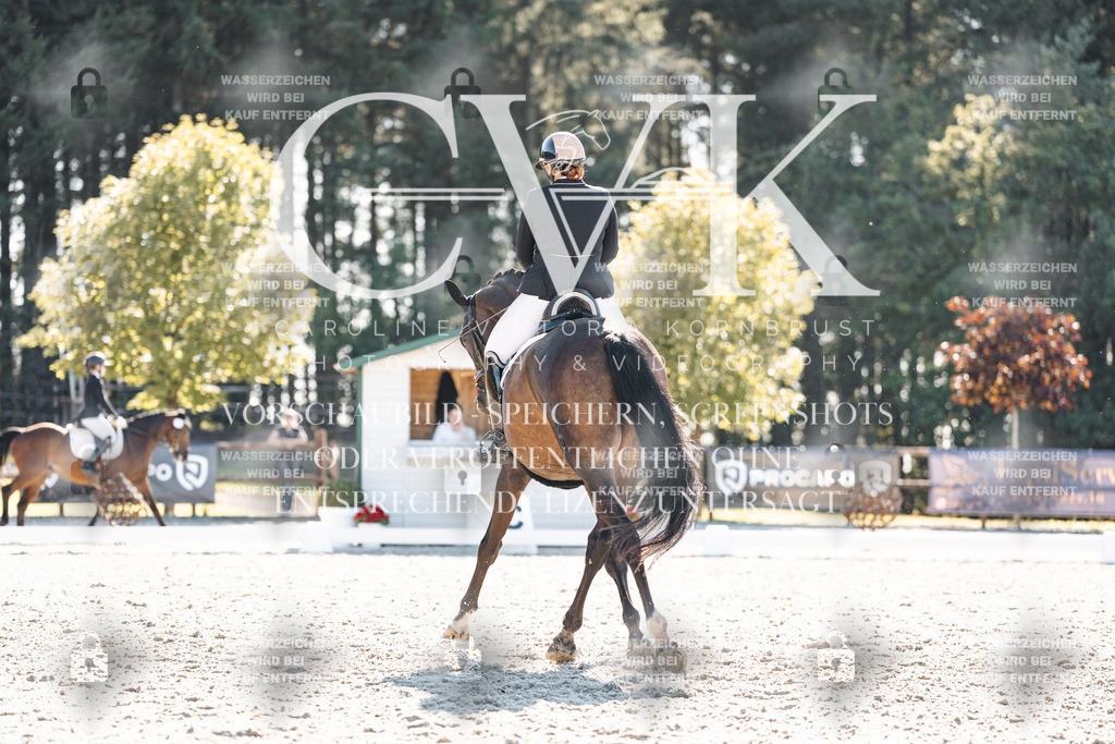CK906136 | Turnierfotografie Pferdefotografie Trier Rheinland-Pfalz Pferdesport Reitsport Tierfotografie Sportfotografie Pferdevideo Pferdevideografie Equestrianvideography equestrianphotography  - Realisiert mit Pictrs.com