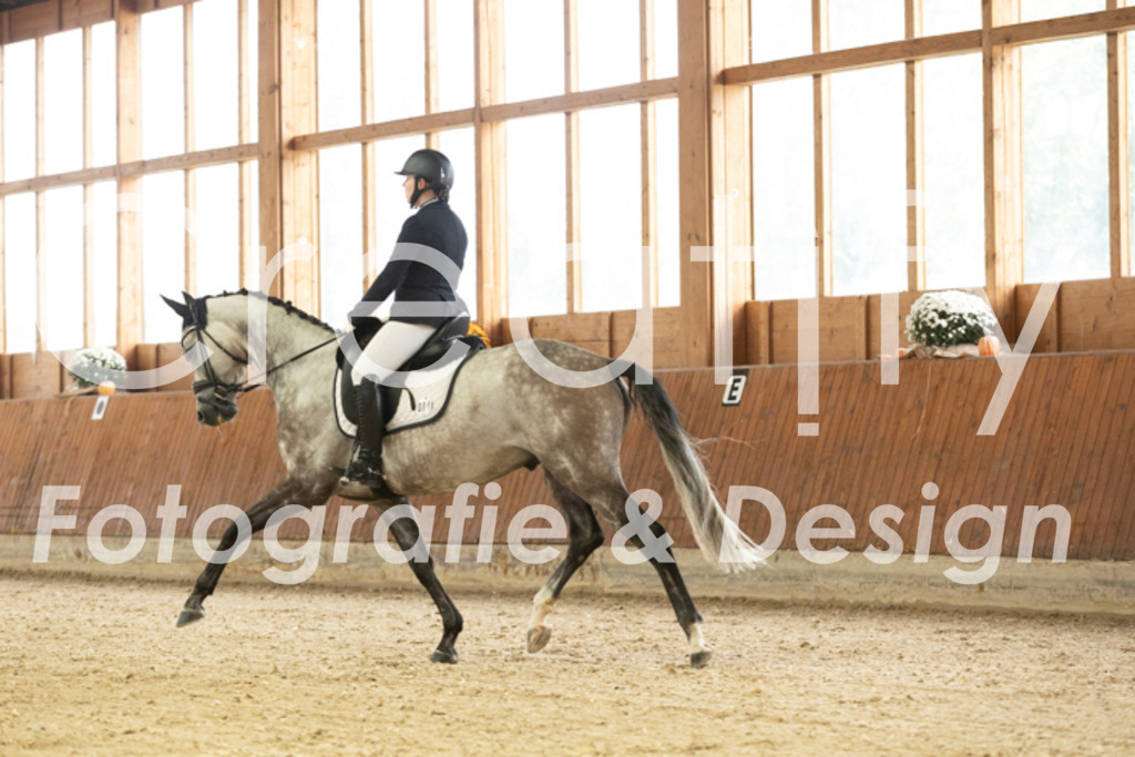 IMG_2402 | Creatify Fotografie