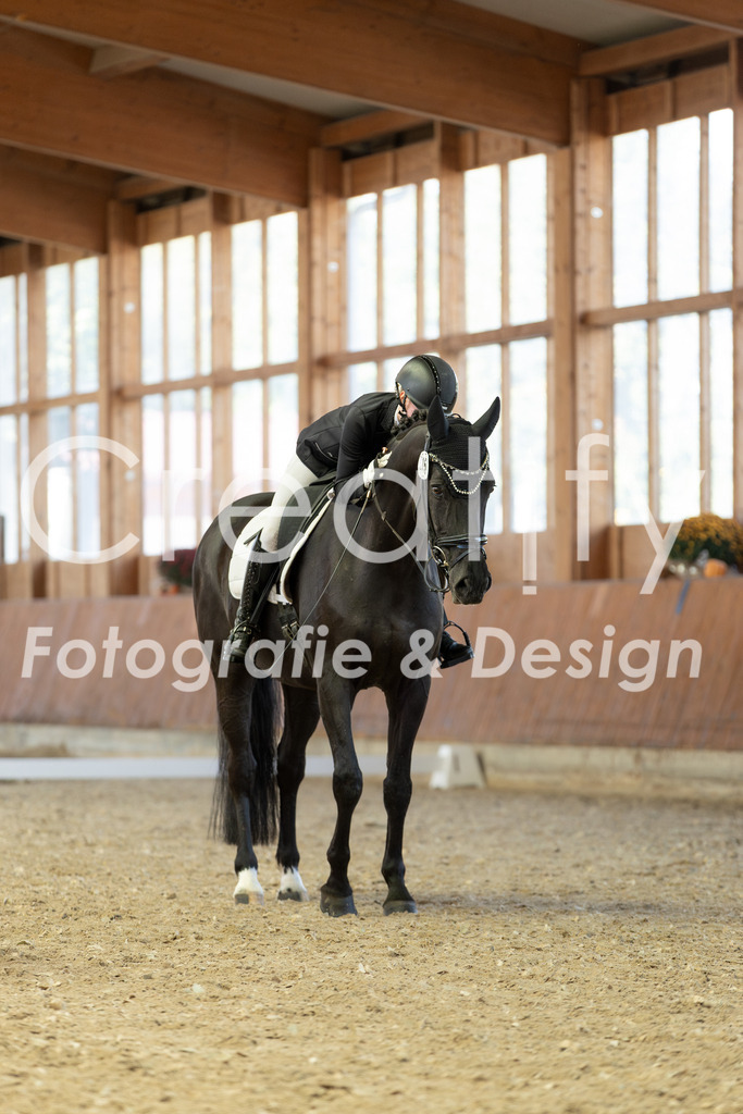 IMG_4982 | Creatify Fotografie