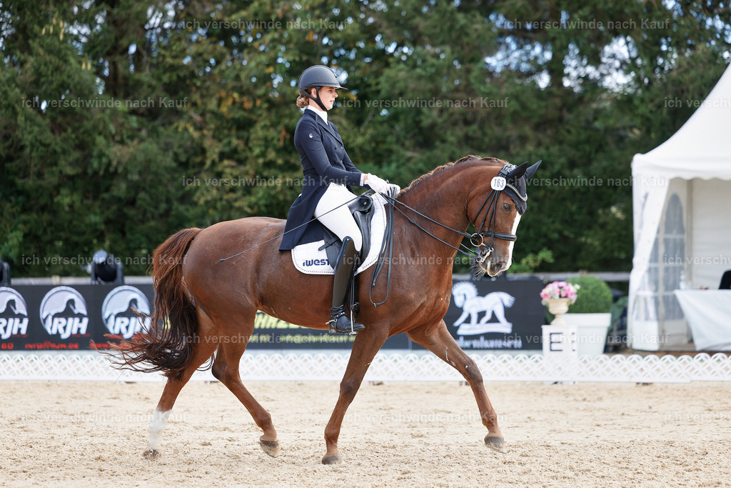 6-163-AMATUER-DRESSUR S_  -StoibPH-3468 | working equitationturnier fotograf videograf stoibphotography marixx film working equitation deutschland reitsport turnierfotografie eventfotografie equestrian events