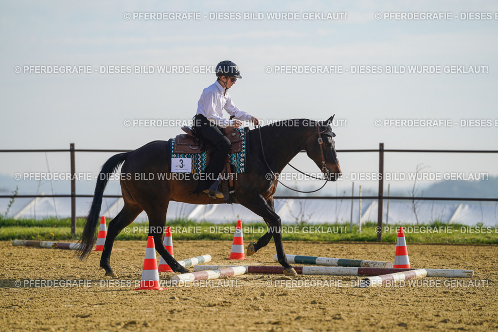 DSC00778 | Pferdegrafie