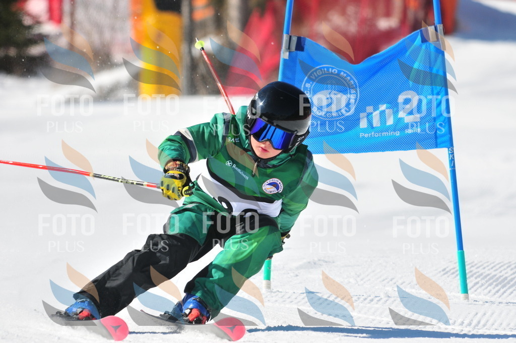 C3185 | holidayphoto