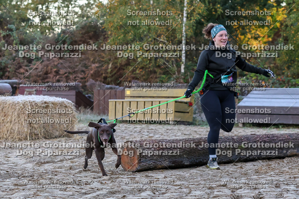 Dog Paparazzi - Strongdog 10-25-105 | Dog Paparazzi Jeanette Grottendiek Fotografie & Videografie - Realisiert mit Pictrs.com