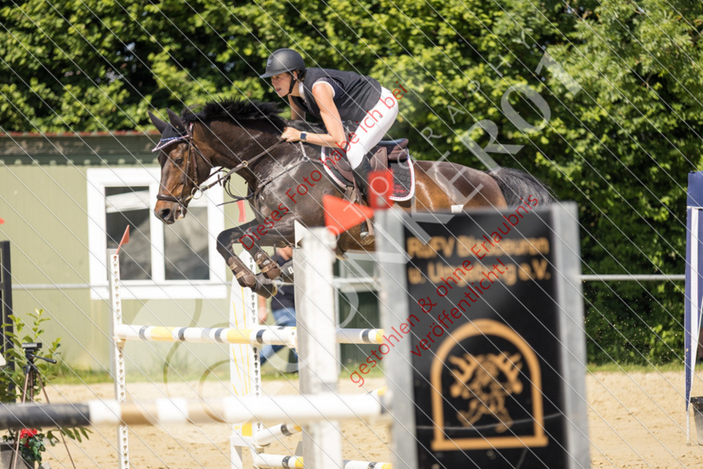 IMG_9896 | Sport-, Event- und Tierfotos in Profiqualität. Einfach auswählen, bestellen und herunterladen. Dein Moment – perfekt festgehalten.