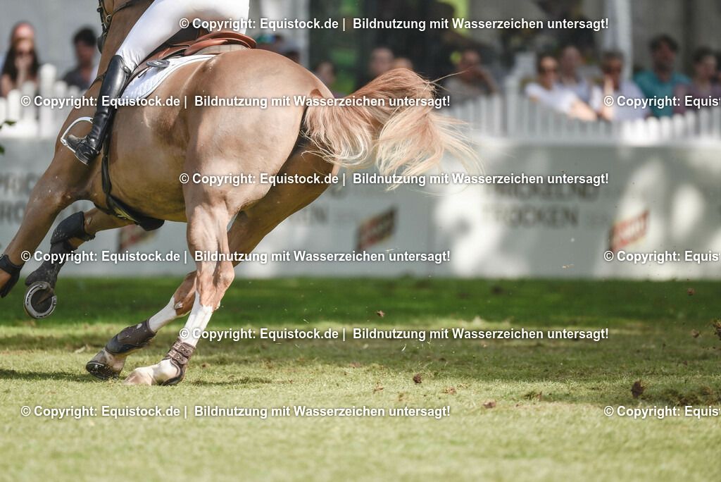 20230529_20_CSI4_Großer-Preis_0220 | equistock