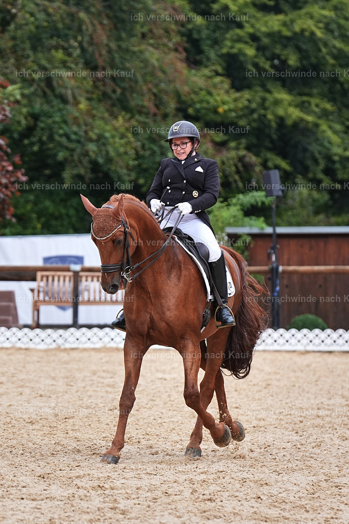 07-023-DRESSUR  S___  -Marixx-5147 | working equitationturnier fotograf videograf stoibphotography marixx film working equitation deutschland reitsport turnierfotografie eventfotografie equestrian events