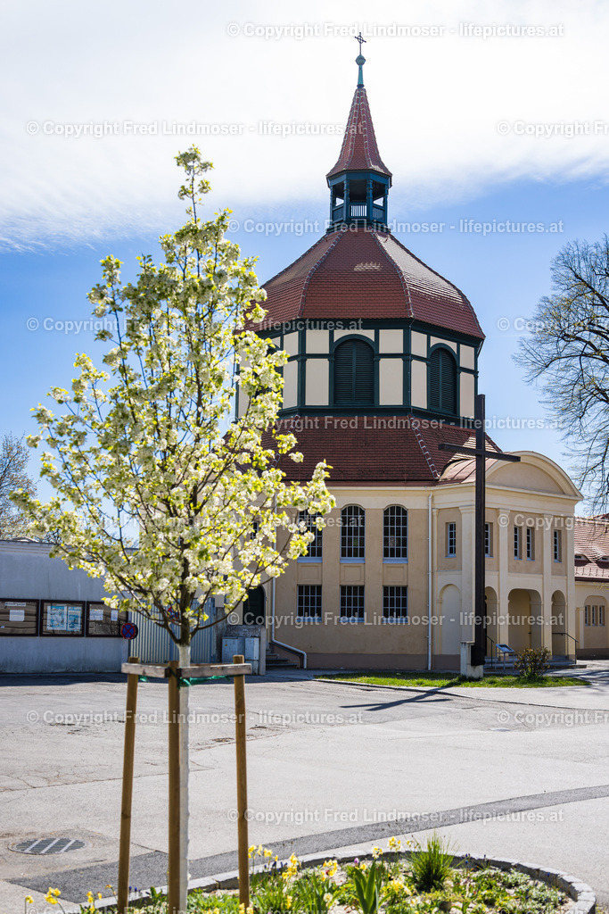 Krems an der Donau-5725 | Fotos und Fotoprodukte - Realisiert mit Pictrs.com