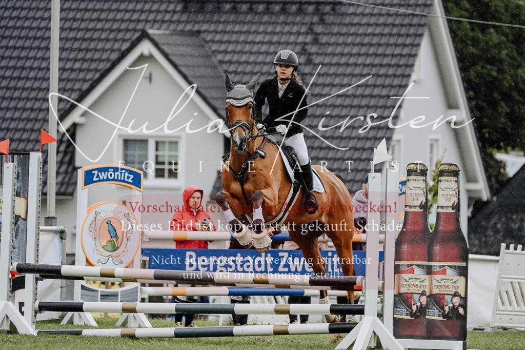 DSC_6942 | Pferde- und Turnierfotografie in Westsachsen. Pferdeportraits, Auftragszeichnungen und intuitive Kunst.