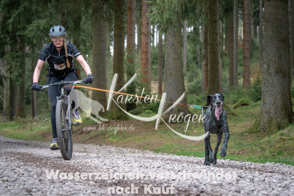 0945_ZZ91907 | kk-dogfotos
