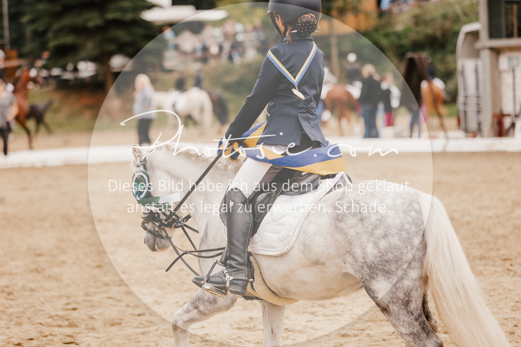 3I6A0022 | Stimmungsvolle Portraits und Reitsportfotografie im Ruhrgebiet und im Münsterland.

Pferdefotografie, Hundefotografie, Tierfotografie, Reportagen, Portraits von Tier und Mensch, Turnierfotografie in Bochum, Recklinghausen, Marl, Haltern am See, Dülmen.. - Realisiert mit Pictrs.com