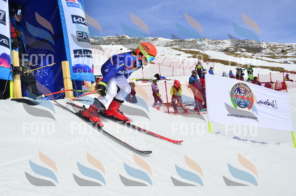 _ELE1976 | holidayphoto