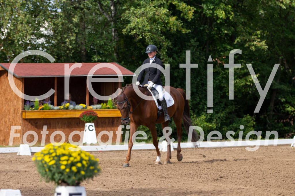 IMG_3765 | Creatify Fotografie