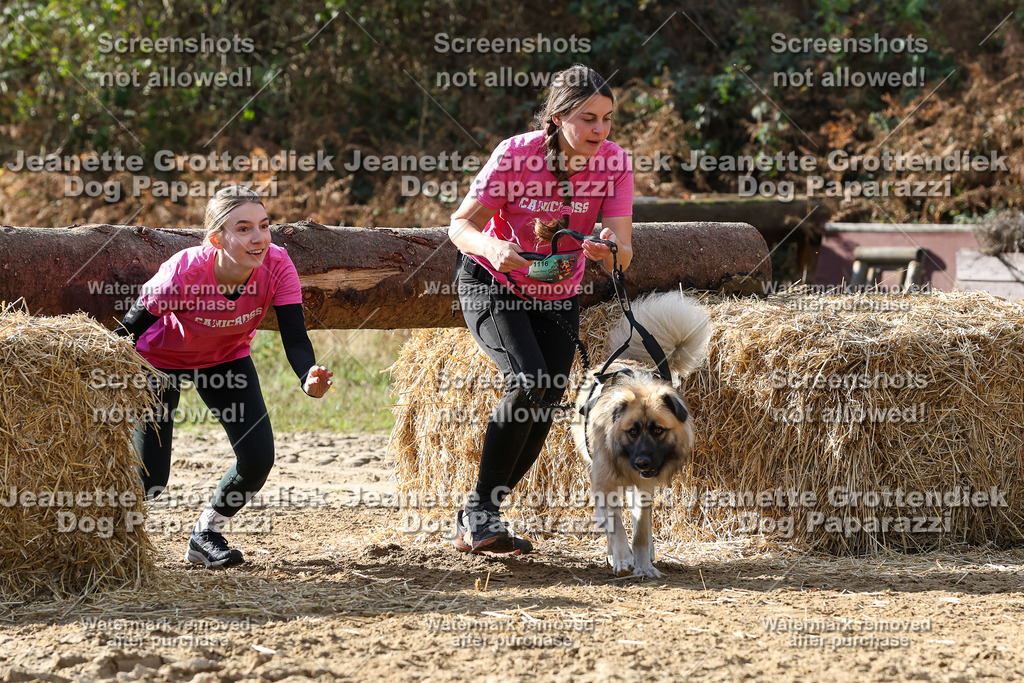 Dog Paparazzi - Strongdog 10-25-5805 | Dog Paparazzi Jeanette Grottendiek Fotografie & Videografie