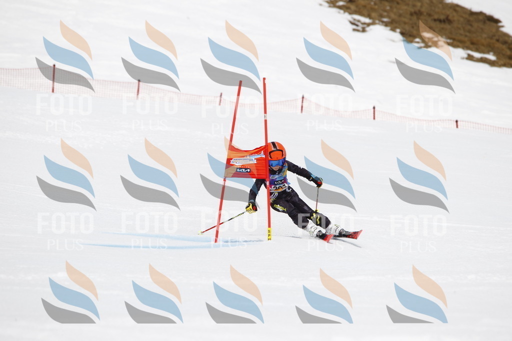 _U3G7635 | holidayphoto