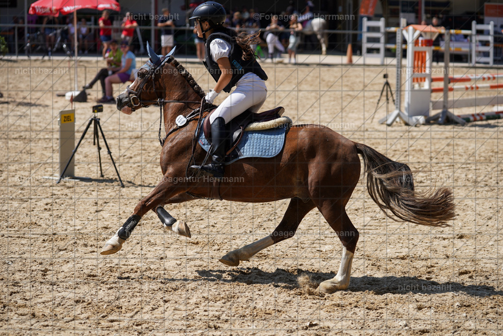 20240824-FAH08120 | Thierhaupten 2024, Bayerisches Landesponyturnier, Turnierbilder, Ponybilder, Turnierfotografen Bayern, Fotoagentur Herrmann