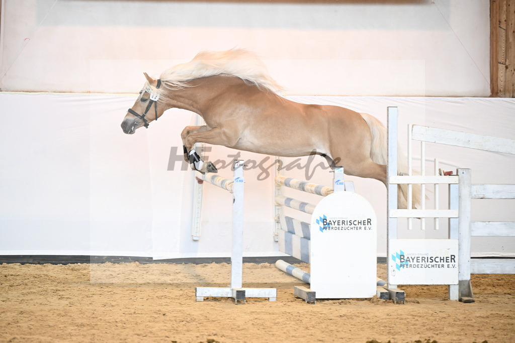 Kat-Nr. 17 v. Barios_Hartmann_6240372 | hf-fotografie - Realizzato con Pictrs.com
